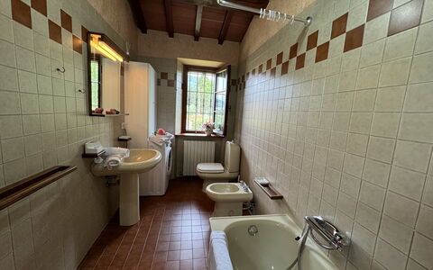 Pinocchio: Tap, Plumbing Fixture, Mirror, Sink, Bathroom, Bathtub, Interior Design, Floor, Window, Wood