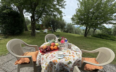 Pinocchio: Table, Plant, Furniture, Property, Chair, Outdoor Table, Tableware, Tree, Outdoor Furniture, Natural Landscape