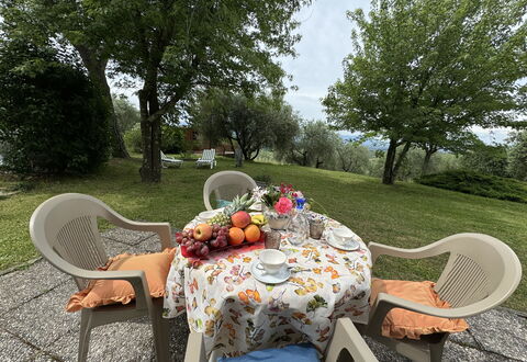 Pinocchio: Table, Plant, Furniture, Property, Chair, Outdoor Table, Tableware, Tree, Outdoor Furniture, Natural Landscape