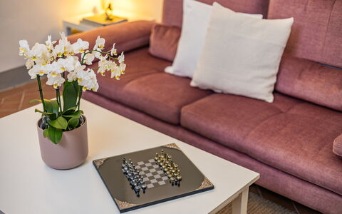 Rose's Palace: Flower, Table, Furniture, Property, Plant, Couch, White, Interior Design, Comfort, Yellow