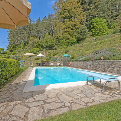 La Montana: Water, Plant, Swimming Pool, Azure, Shade, Tree, Outdoor Furniture, Building, Rectangle, Umbrella