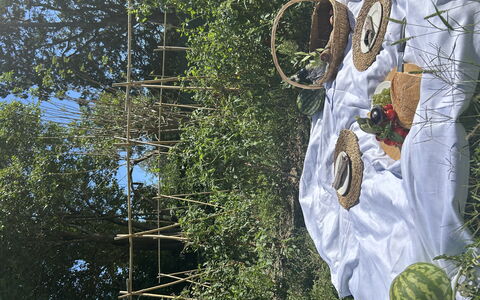 Borgo Dolciano: Garden, Produce, Fruit, Natural Foods, Agriculture