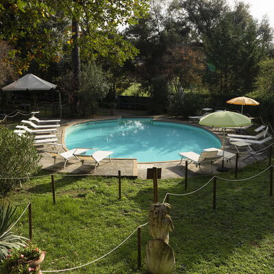 Borgo Dolciano: Water, Plant, Swimming Pool, Shade, Outdoor Furniture, Natural Landscape, Grass, Tree, Chair, Leisure