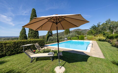 Villa Delle Rose: Plant, Sky, Property, Umbrella, Water, Shade, Outdoor Furniture, Swimming Pool, Sunlounger, Tree