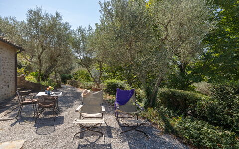 Villa Delle Rose: Plant, Plant Community, Chair, Natural Landscape, Land Lot, Tree, Grass, Table, Shade, Outdoor Furniture