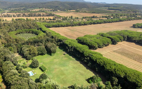 Casale Rosa: Tree, Natural Environment, Natural Landscape, Landscape, Bird'S-Eye View, Aerial Photography, Plain, Land Lot, Plantation, Field
