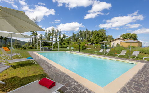 Montelucci Chianti Agrivilla: Cloud, Water, Sky, Plant, Property, Building, Swimming Pool, Outdoor Furniture, Interior Design, Shade