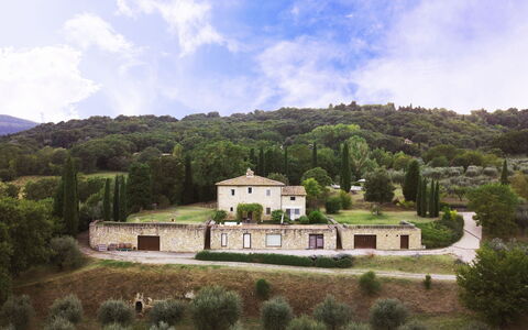 Terra Quercus: Landscape, Rural Area, Estate, Human Settlement, Home, Cottage, Village, Farmhouse, Forest, Hill Station