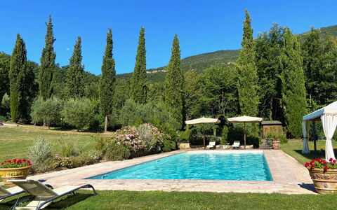 Villa la Felce: Shrub, Swimming Pool, Garden, Landscaping, Resort, Outdoor Furniture, Shade, Eco Hotel, Botanical Garden