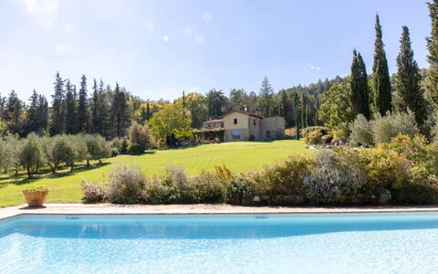 Villa la Felce: Tree, Shrub, Estate, Garden, Swimming Pool, Landscaping, Farmhouse, Larch, Hacienda, Villa