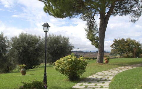 Villa del Lago: Tree, Leaf, Shrub, Garden, Trunk, Lawn, Woody Plant, Shade, Landscaping