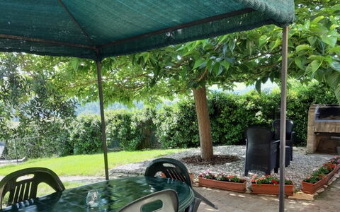 Il Bosco: Shade, Canopy, Garden, Gazebo, Outdoor Furniture, Outdoor Structure, Backyard, Outdoor Table, Pavilion, Landscaping