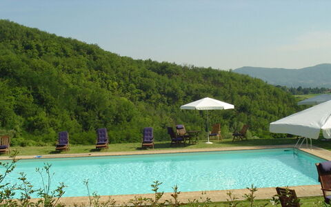 Magnolia e Camelia: Swimming Pool, Outdoor Furniture, Leisure, Resort, Eco Hotel, Hill Station, Sunlounger, Resort Town, Umbrella, Landscaping