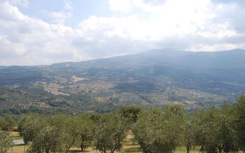Poggio Aperto: Mountainous Landforms, Mountain, Hill, Vegetation, Highland, Natural Landscape, Ecoregion, Landscape, Hill Station, Plant Community