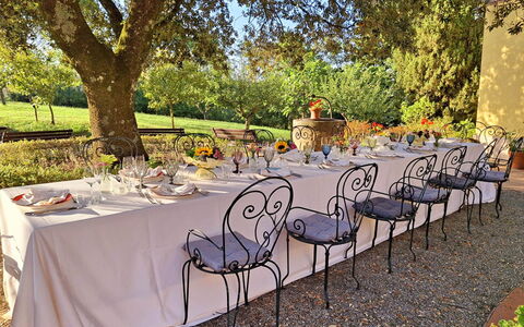 La Palazzina: Furniture, Table, Tablecloth, Chair, Outdoor Table, Garden, Outdoor Furniture, Linens, Restaurant