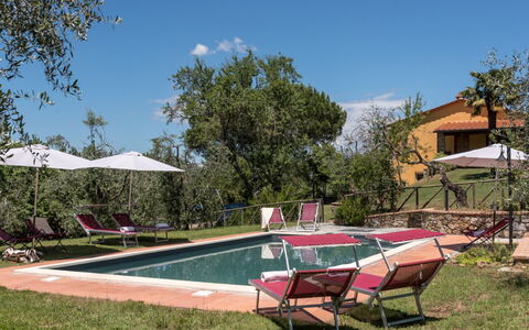 Bellaria: Estate, Hacienda, Backyard, Outdoor Furniture, Villa, Garden, Farmhouse, Yard, Swimming Pool, Landscaping