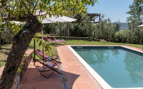 Bellaria: Swimming Pool, Hacienda, Estate, Garden, Yard, Shade, Villa, Backyard, Farmhouse, Landscaping