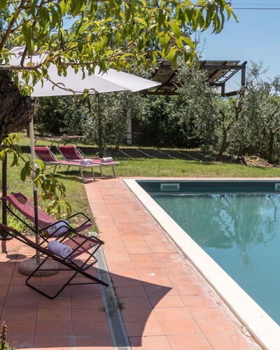 Bellaria: Swimming Pool, Hacienda, Estate, Garden, Yard, Shade, Villa, Backyard, Farmhouse, Landscaping