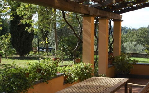 Podere Torre: Wood, Shrub, Garden, Plant Community, Shade, Groundcover, Backyard, Outdoor Structure, Landscaping