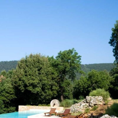 Villa Pipirelli: Tree, Swimming Pool, Eco Hotel, Landscaping, Villa, Resort, Hacienda, Farmhouse, Water Feature