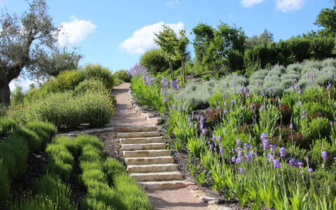 Villa del Cammino: Vegetation, Shrub, Garden, Landscape, Plant Community, Groundcover, Spring, Botanical Garden, Trail