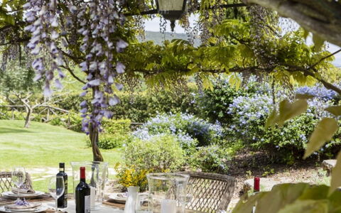 Villa Sibilla: Garden, Furniture, Shrub, Table, Outdoor Table, Shade, Outdoor Furniture, Chair, Spring