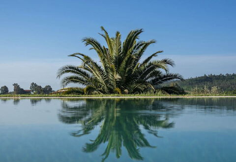 Villa Moscato: Blue, Water, Body Of Water, Reflection, Lake, Swimming Pool, Reservoir, Tropics, Reflecting Pool