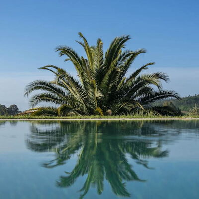 Villa Moscato: Blue, Water, Body Of Water, Reflection, Lake, Swimming Pool, Reservoir, Tropics, Reflecting Pool