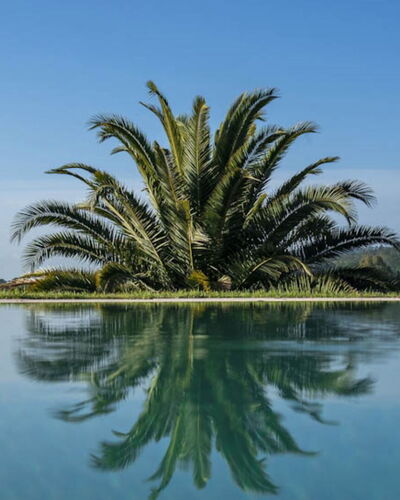 Villa Moscato: Blue, Water, Body Of Water, Reflection, Lake, Swimming Pool, Reservoir, Tropics, Reflecting Pool