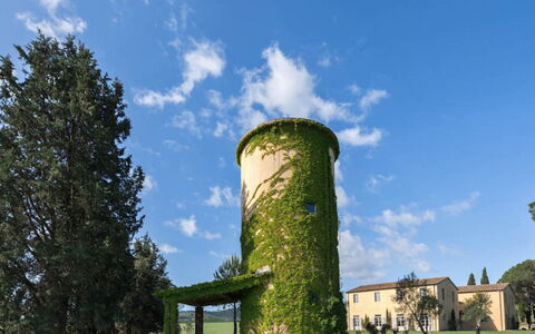 Villa Il Serraglio: Grass, Shrub, Land Lot, Field, Garden, Lawn, Meadow, Landscaping, Estate, Plantation