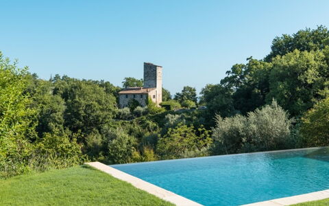 Villa Ugo: Swimming Pool, Shrub, Land Lot, Garden, Landscaping, Lawn, Estate, Water Feature, Shade, Yard