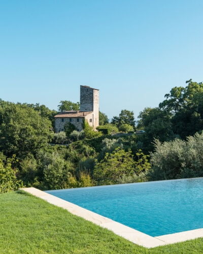 Villa Ugo: Swimming Pool, Shrub, Land Lot, Garden, Landscaping, Lawn, Estate, Water Feature, Shade, Yard