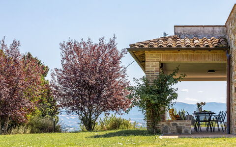 Poggio Padule: Natural Landscape, Shrub, Hill, Land Lot, Meadow, Garden, Valley, Landscaping, Ridge