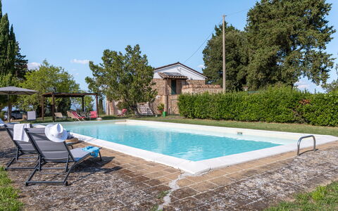 Poggio Padule: Swimming Pool, Outdoor Furniture, Estate, Backyard, Garden, Hacienda, Shade, Farmhouse, Villa, Yard