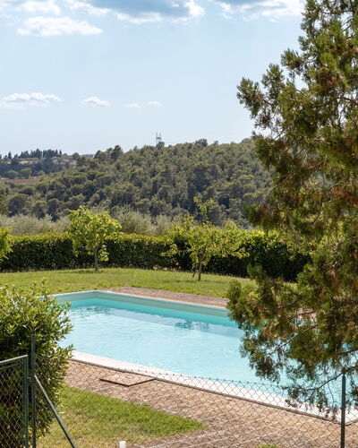 Il Pino Apartment: Swimming Pool, Resort, Shade, Garden, Outdoor Furniture, Eco Hotel, Landscaping, Backyard, Hacienda, Thermae