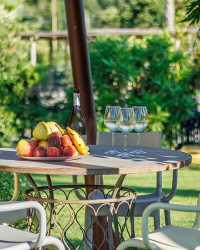 Serena: Furniture, Outdoor Furniture, Table, Outdoor Table, Chair, Garden, Kitchen & Dining Room Table, Patio, Backyard, Shade