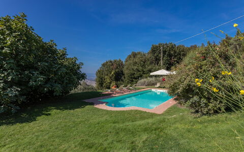 Villa Belvedere: Swimming Pool, Hill, Landscape, Shrub, Garden, Eco Hotel, Landscaping, Resort, Estate, Farmhouse