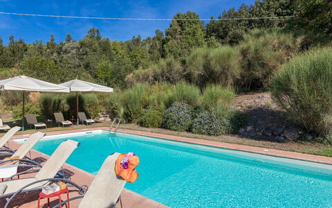 Villa Belvedere: Swimming Pool, Resort, Outdoor Furniture, Sunlounger, Eco Hotel, Landscaping, Thermae, Hotel, Hacienda, Chaise Longue