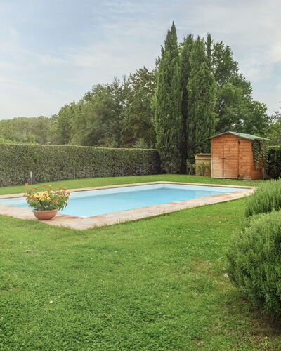 Villa Zambra: Swimming Pool, Shrub, Garden, Lawn, Landscaping, Hedge, Backyard, Shade, Yard, Design