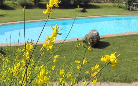 Appartamento Il Cantico Del Gallo, Wifi, Near Peru: Yellow, Spring, Garden, Lawn, Landscaping, Yard, Park, Wildflower, Botanical Garden