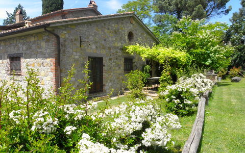 Appartamento Poggiolo, Wifi, Near Perugia: Shrub, Garden, Cottage, Spring, Groundcover, Landscaping, Backyard, Yard, Farmhouse