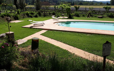 Appartamento Rustico, Wifi, Perugia: Garden, Swimming Pool, Outdoor Furniture, Lawn, Shade, Backyard, Landscaping, Leisure, Park, Water Feature