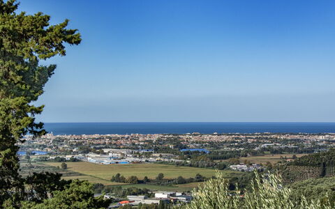 Casale La Pieve: Sky, Blue, Daytime, Horizon, Evergreen