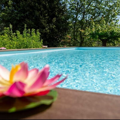 Casale La Pieve: Water, Swimming Pool, Garden, Landscaping, Resort, Water Feature, Eco Hotel, Botanical Garden, Backyard