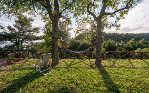 Villa Argentina: Branch, Wood, Furniture, Landscape, Trunk, Sunlight, Shade, Garden, Outdoor Furniture, Twig