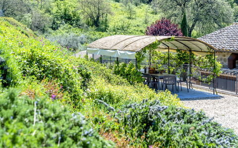 Villa Trasimena: Vegetation, Shrub, Garden, Landscape, Plant Community, Groundcover, Spring, Landscaping, Botanical Garden