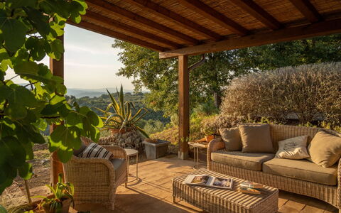 Villa Olivo: Furniture, Wood, Outdoor Furniture, Chair, Flowerpot, Table, Shade, Porch, Garden