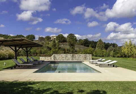 Podere Bella Vista: Swimming Pool, Garden, Groundcover, Outdoor Furniture, Landscaping, Shade, Flagstone, Lawn, Backyard, Sunlounger