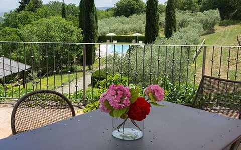 Agriturismo Agresto Apartments And Cottage, Pool,: Furniture, Table, Outdoor Furniture, Chair, Outdoor Table, Kitchen & Dining Room Table, Coffee Table, Shade, Garden, Patio