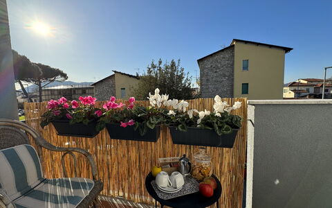 Sto Bene Qua: Flowerpot, Balcony, Houseplant, Floristry, Floral Design, Courtyard